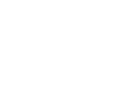 DC Shoes