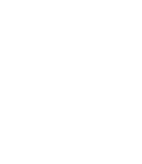 Raf Simons