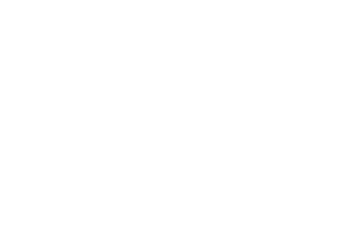 Swarovski