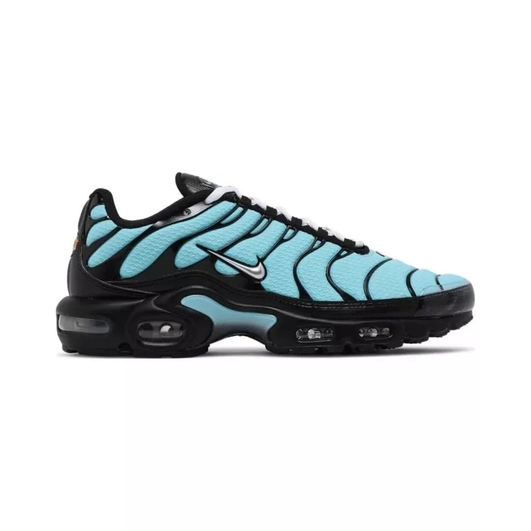 Nike Air Max Plus Flame — Aqua Silver