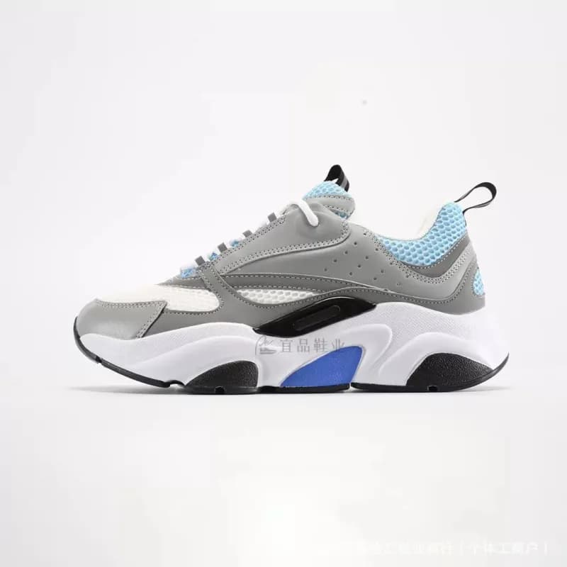 Dior B22 Grey Blue