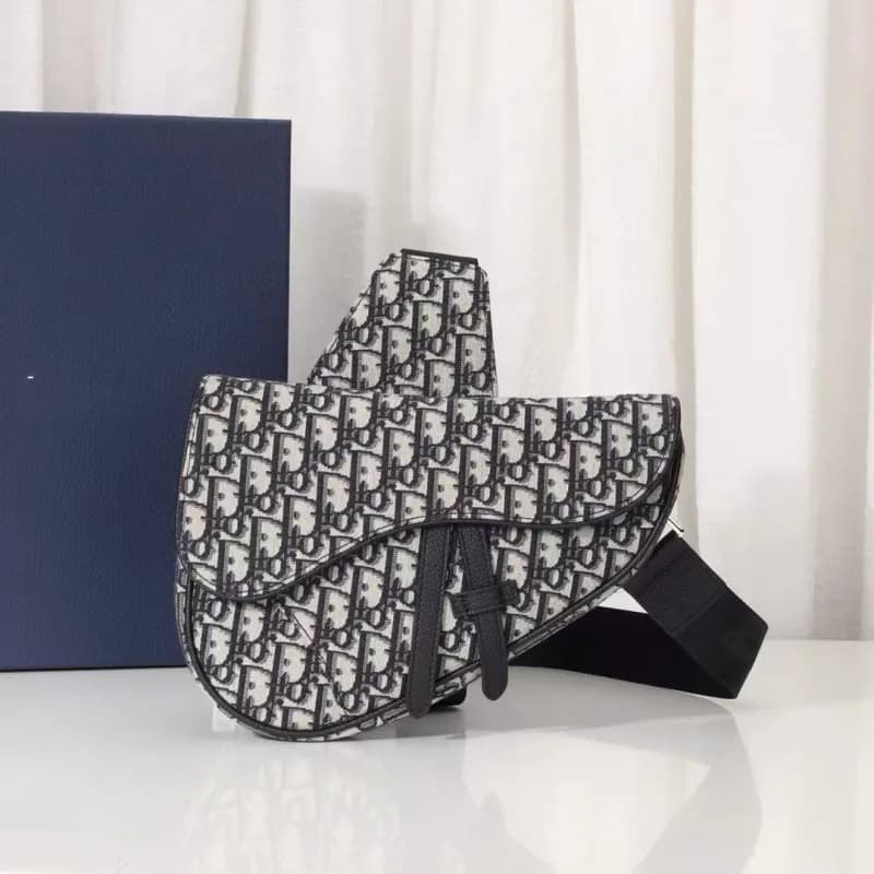 Dior Saddle Bag Oblique Canvas
