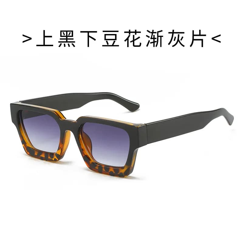 Ray-Ban Wayfarer Tortoiseshell Frame with Gradient Lenses