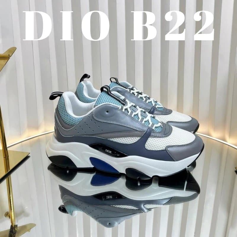 Dior B22 Sneaker Grey Blue White