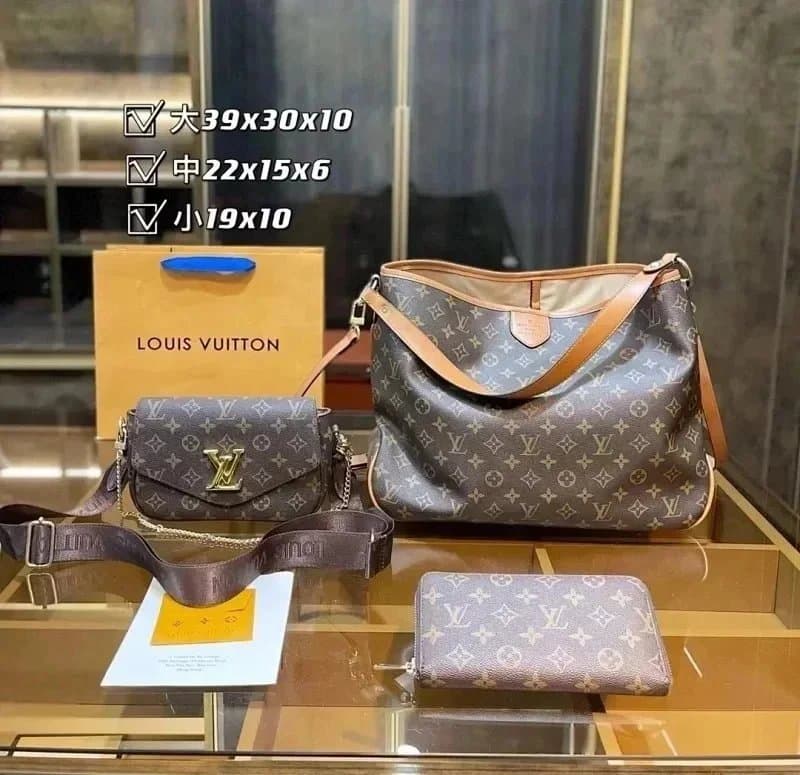 Louis Vuitton Neverfull Monogram Canvas — 8（Only the biggest one）