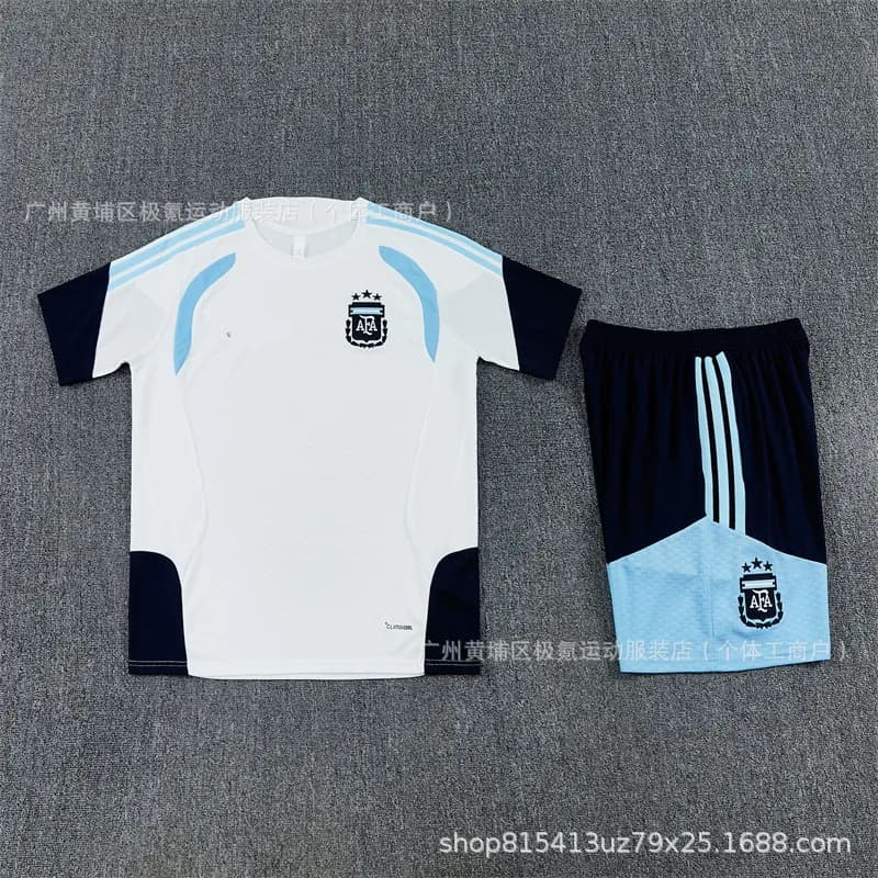 Adidas Argentina Home Kit 2010 World Cup Inspired