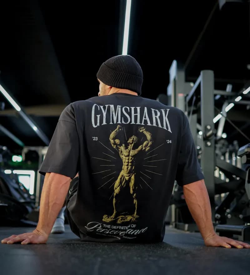 Graphic T-Shirt Definition of Perseverance