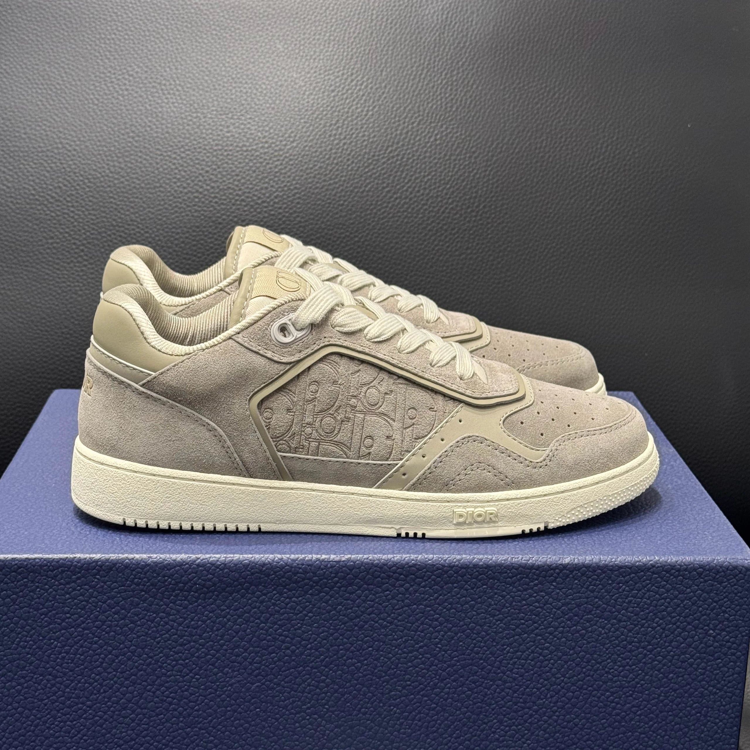 Dior B22 Low Monogram Suede