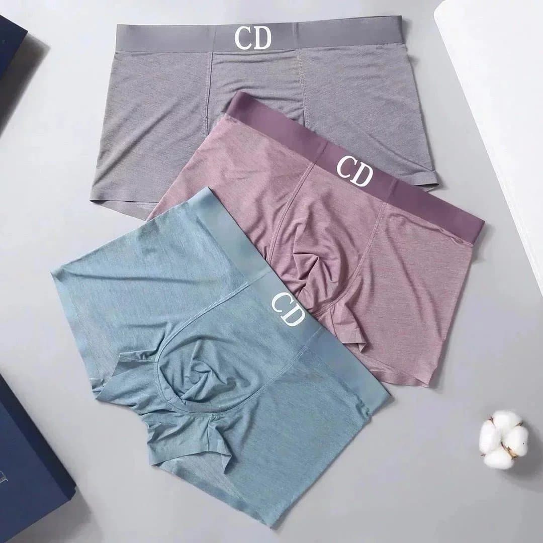 Dior Boxer Briefs CD Logo Waistband
