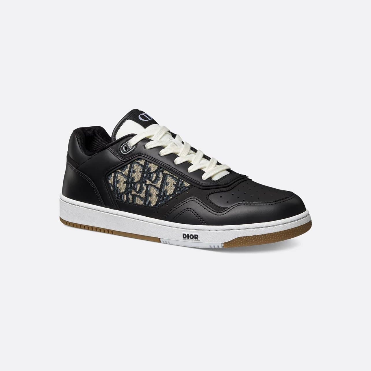 Dior B22 Low Oblique Print