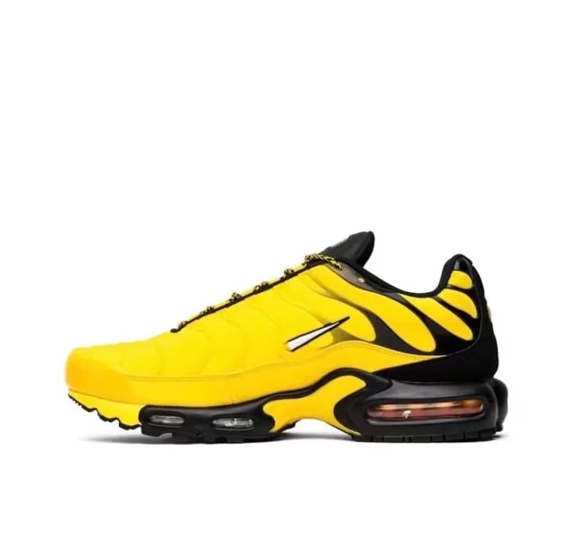 Nike Air Max Plus Travis Scott — TN-23