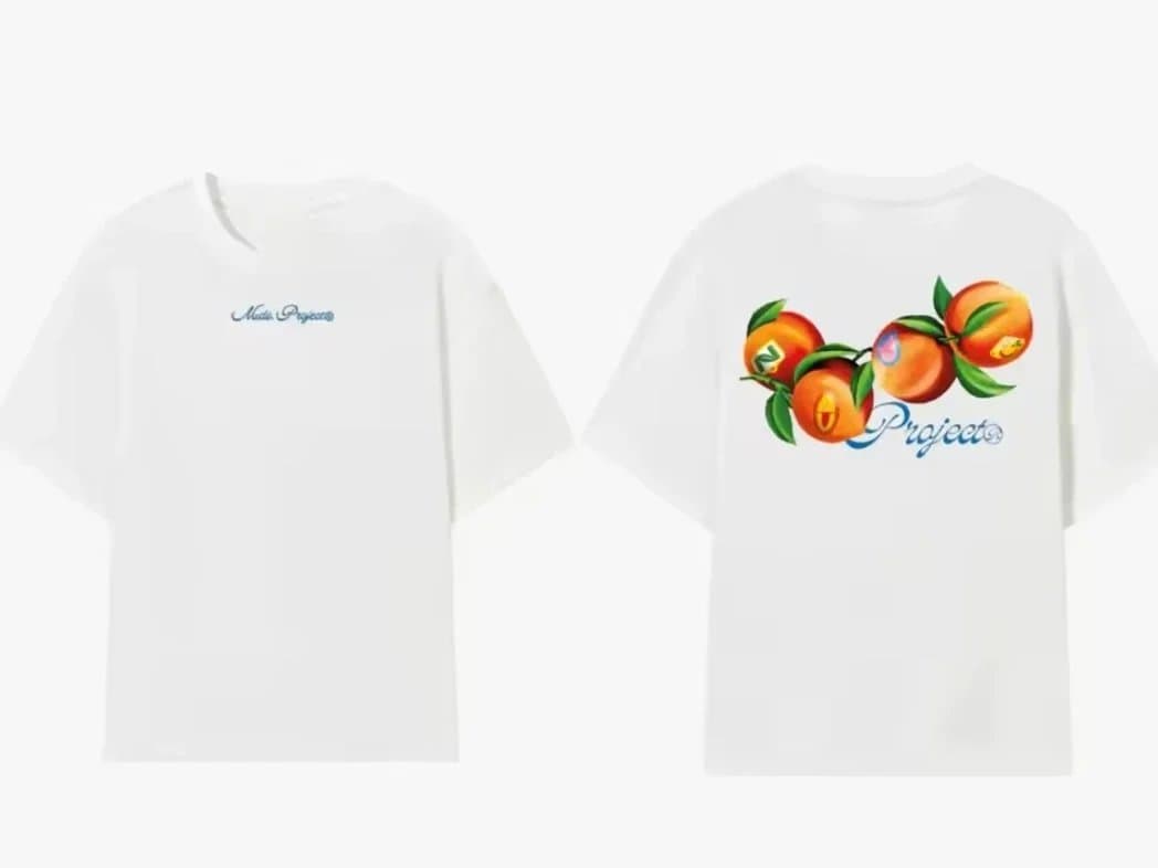 Broken Planet Graphic Tee Swan Print — 23