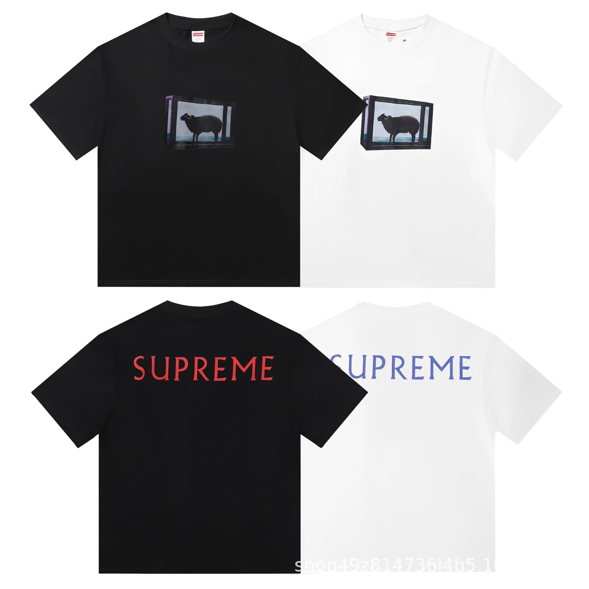 Supreme Sheep Box Tee Sheep in Frame