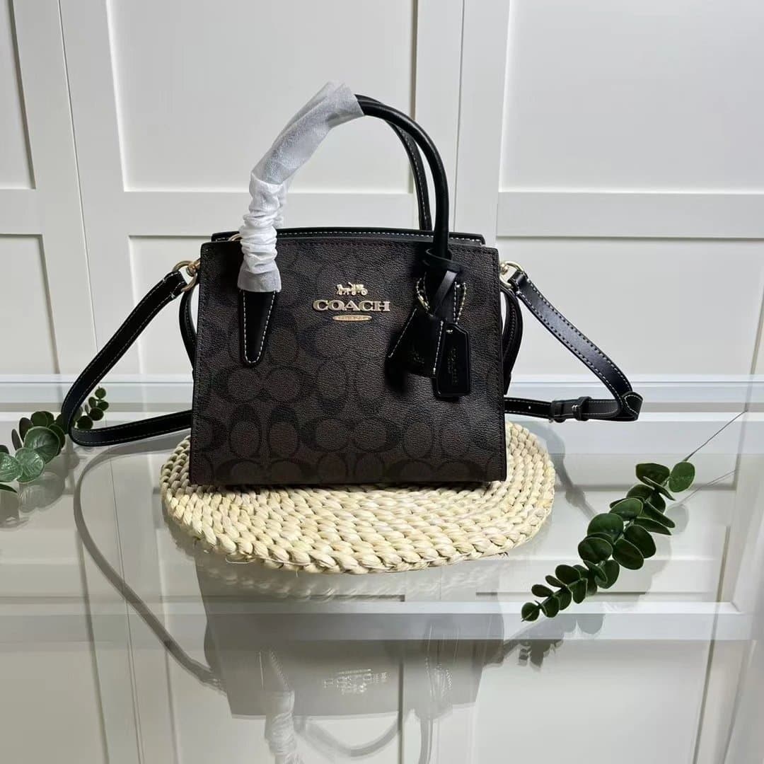 Coach Mini Carryall Signature Canvas