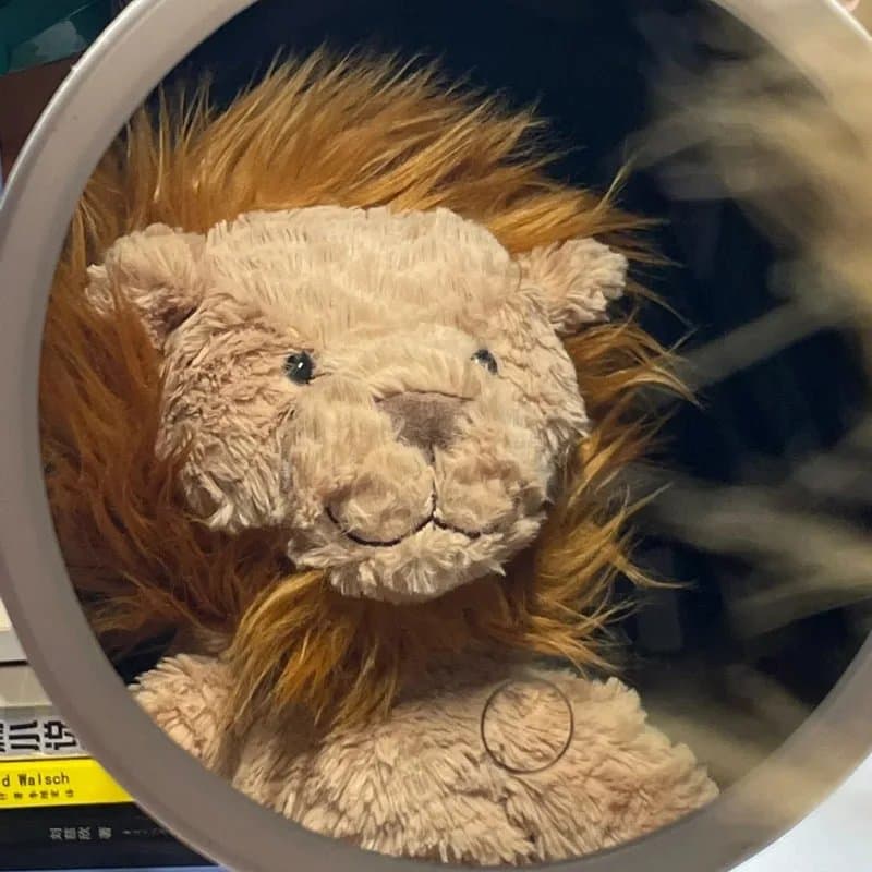 Be@rbrick Lion Plush Medium