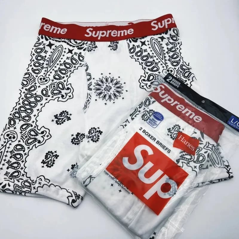 Supreme Boxer Briefs Bandana Print