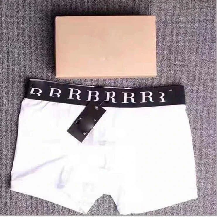 Burberry Boxer Brief Logo Waistband