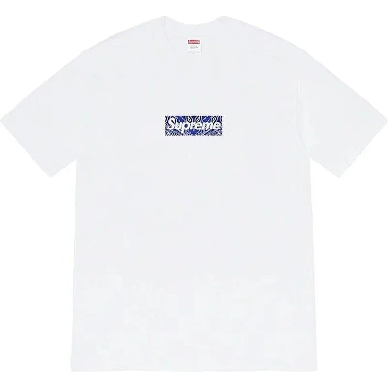Supreme Graphic Tee Meme Print — 7