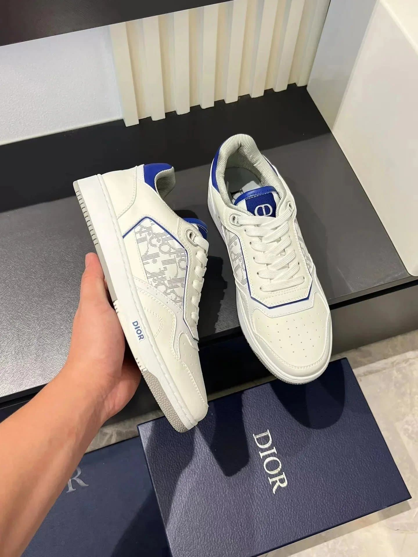 Dior B23 Low Top Oblique Print — 035