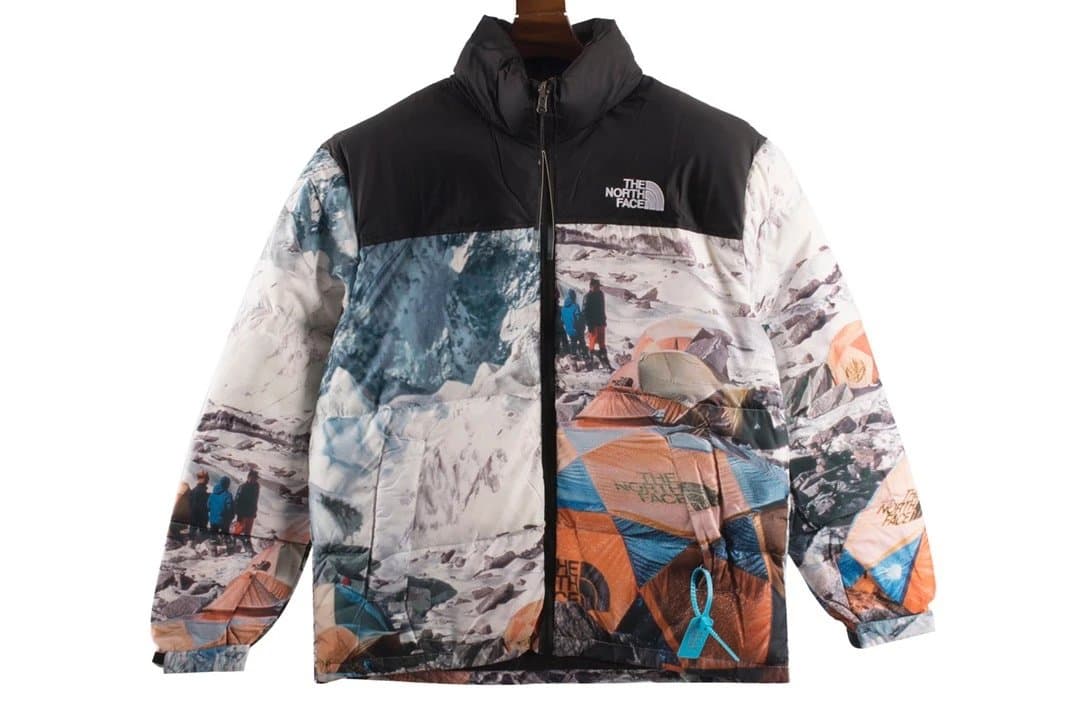 The North Face Mountain Light Jacket Expedition Print