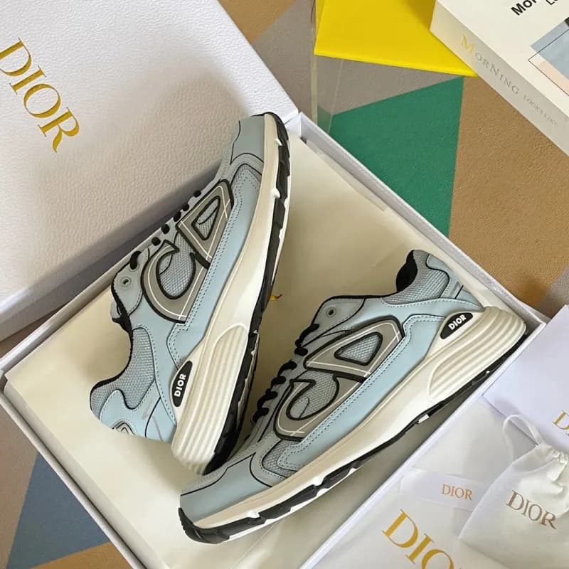 Dior B22 Silver Logo — B30 18（46码定制，不退换）