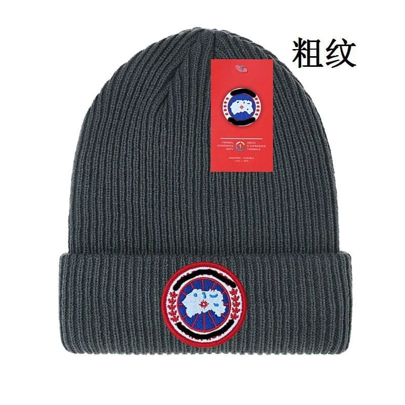 Canada Goose Ribbed Beanie Arctic Program Patch — 均码 · 如图27