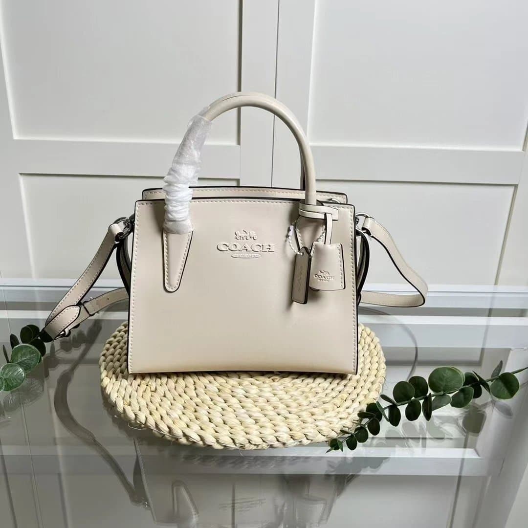 Coach Mini Carryall Smooth Leather