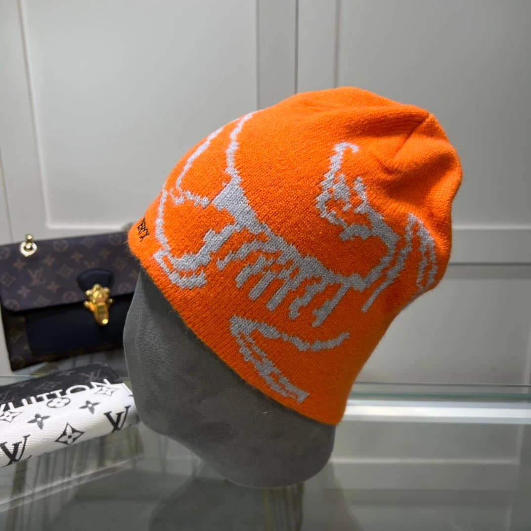 Arc'teryx Beanie Bird Logo — S10