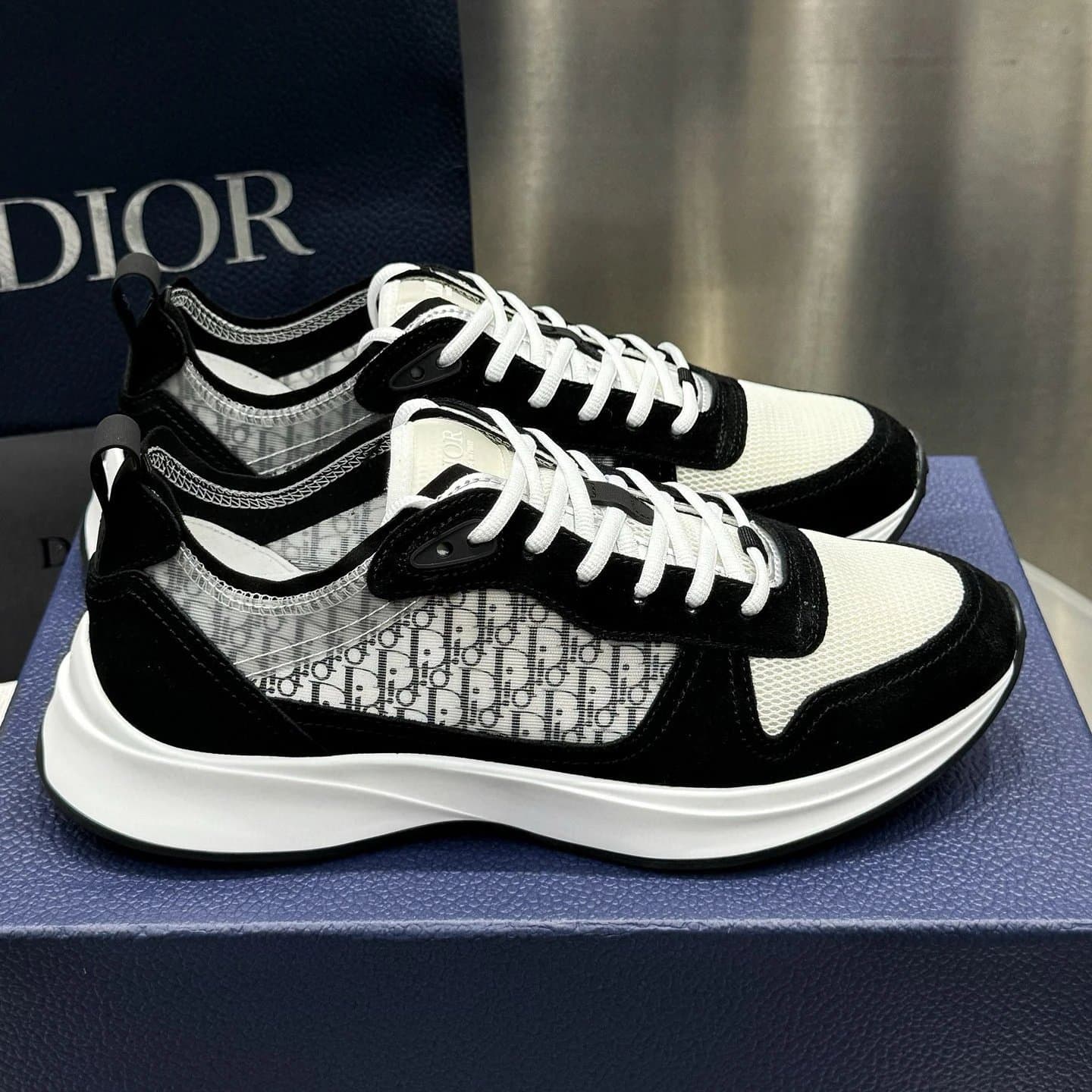 Dior B22 Sneaker Oblique Logo