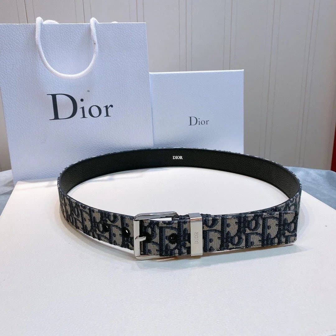 Dior Oblique Belt Classic Oblique Print
