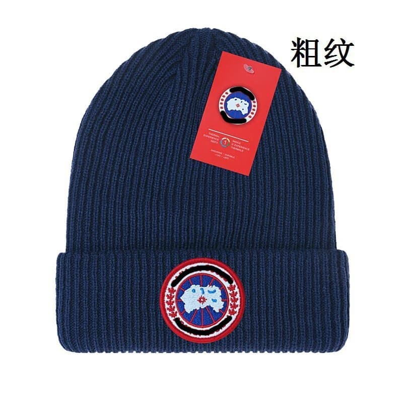 Canada Goose Ribbed Beanie Arctic Program Patch — 均码 · 如图29