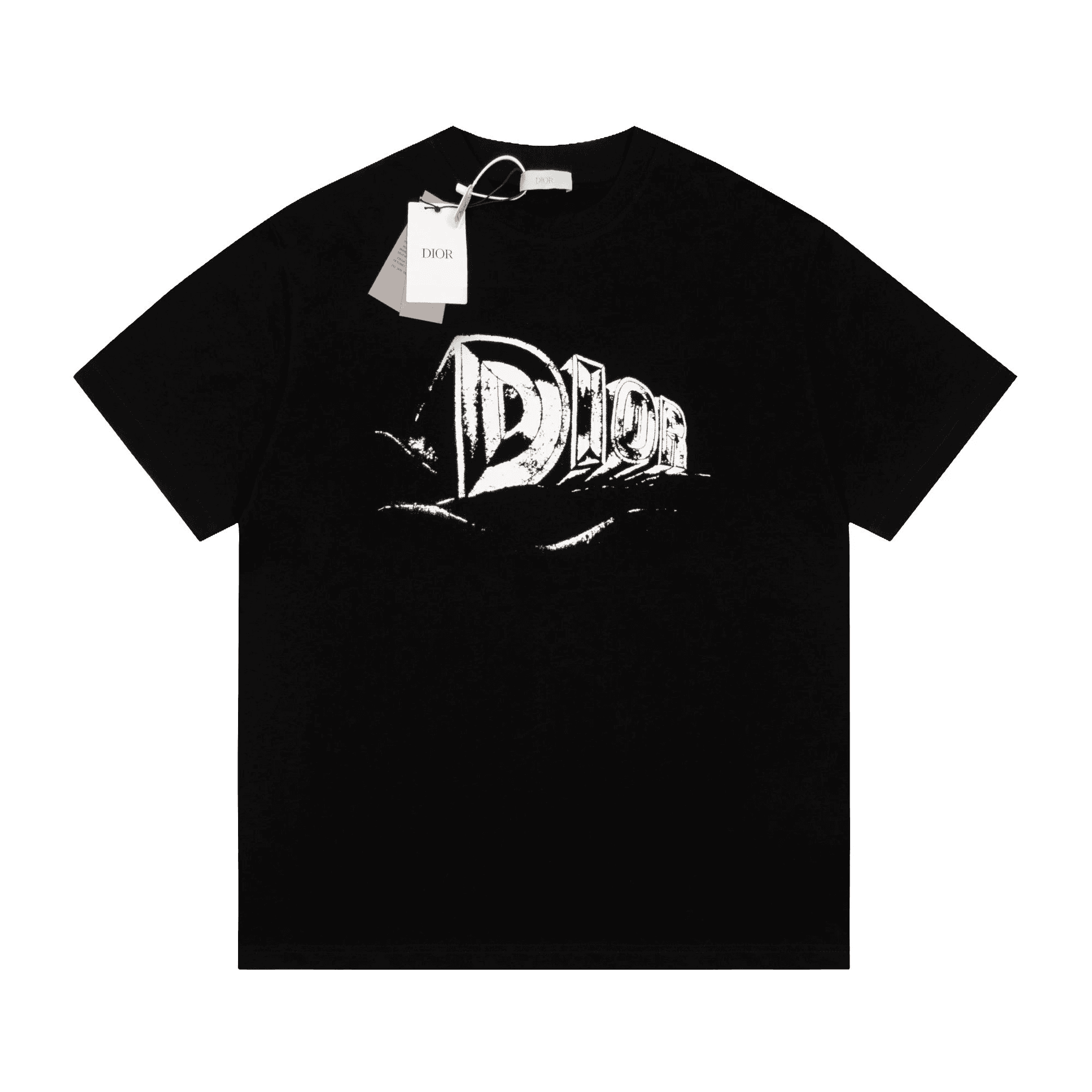 Logo T-Shirt Distressed DIOR Print