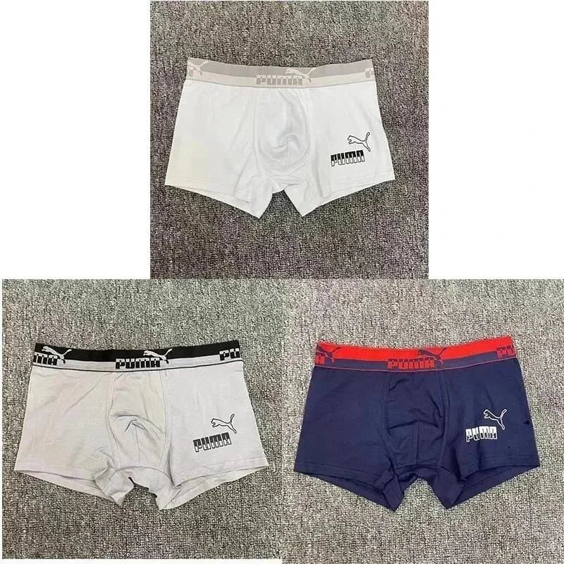 Dior Boxer Briefs Bee Logo — 2971001DD