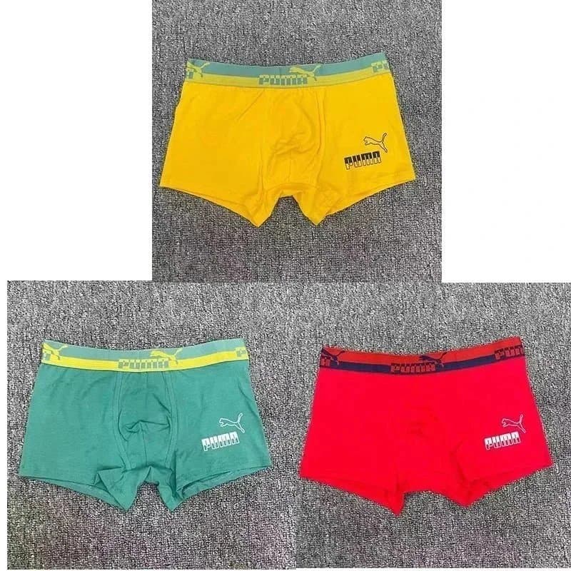 Puma Boxer Briefs Color Block Pack