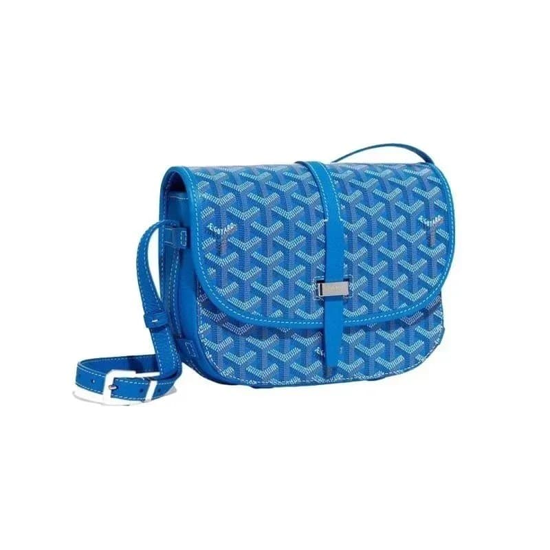 Goyard Saint Louis Monogram Canvas — 31