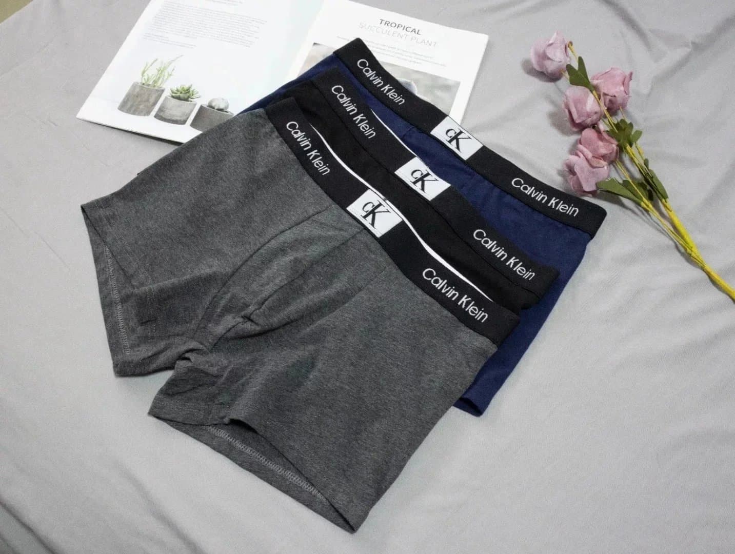 Kenzo Boxer Brief Tiger Logo — ck 款式3：一盒三条 清仓