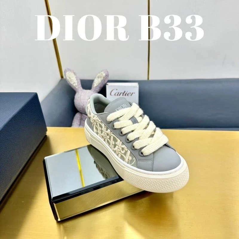 Dior B33 Oblique Print