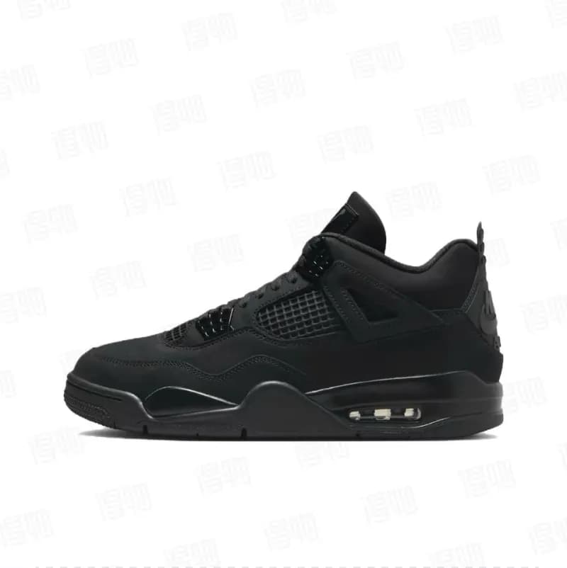 Air Jordan 4 Raptors — 2025黑猫