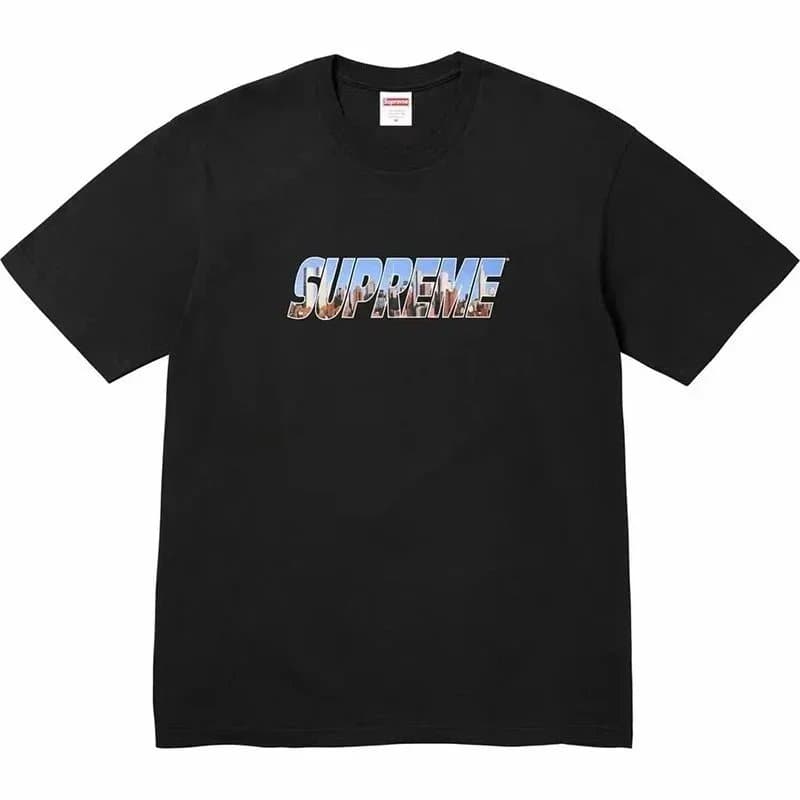 Supreme Box Logo Tee White Script — 37