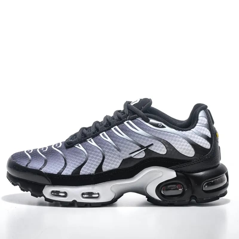 Nike Air Max Plus Atmos Grey