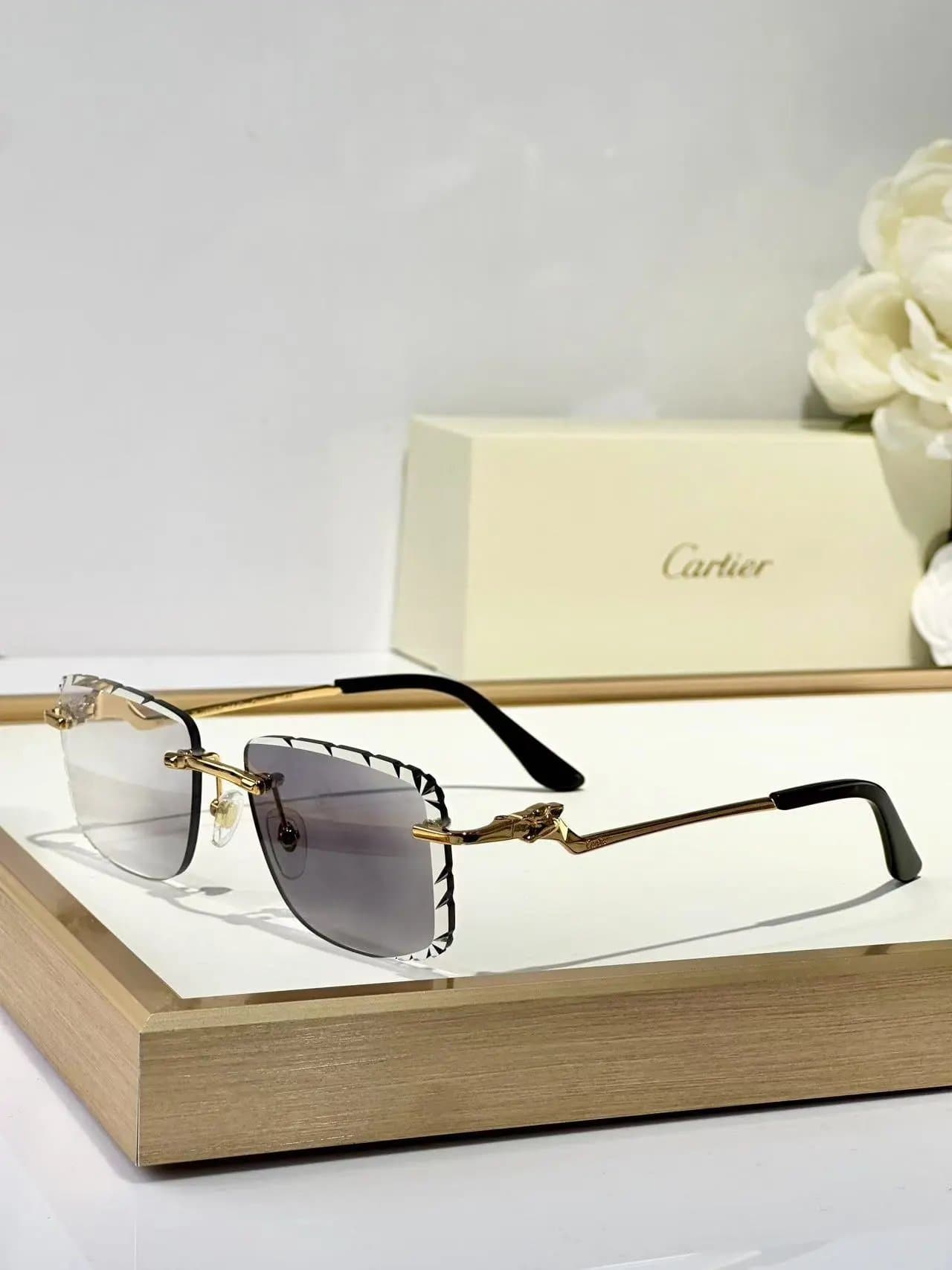 Cartier Juste Un Clou Sunglasses Riveted Frame