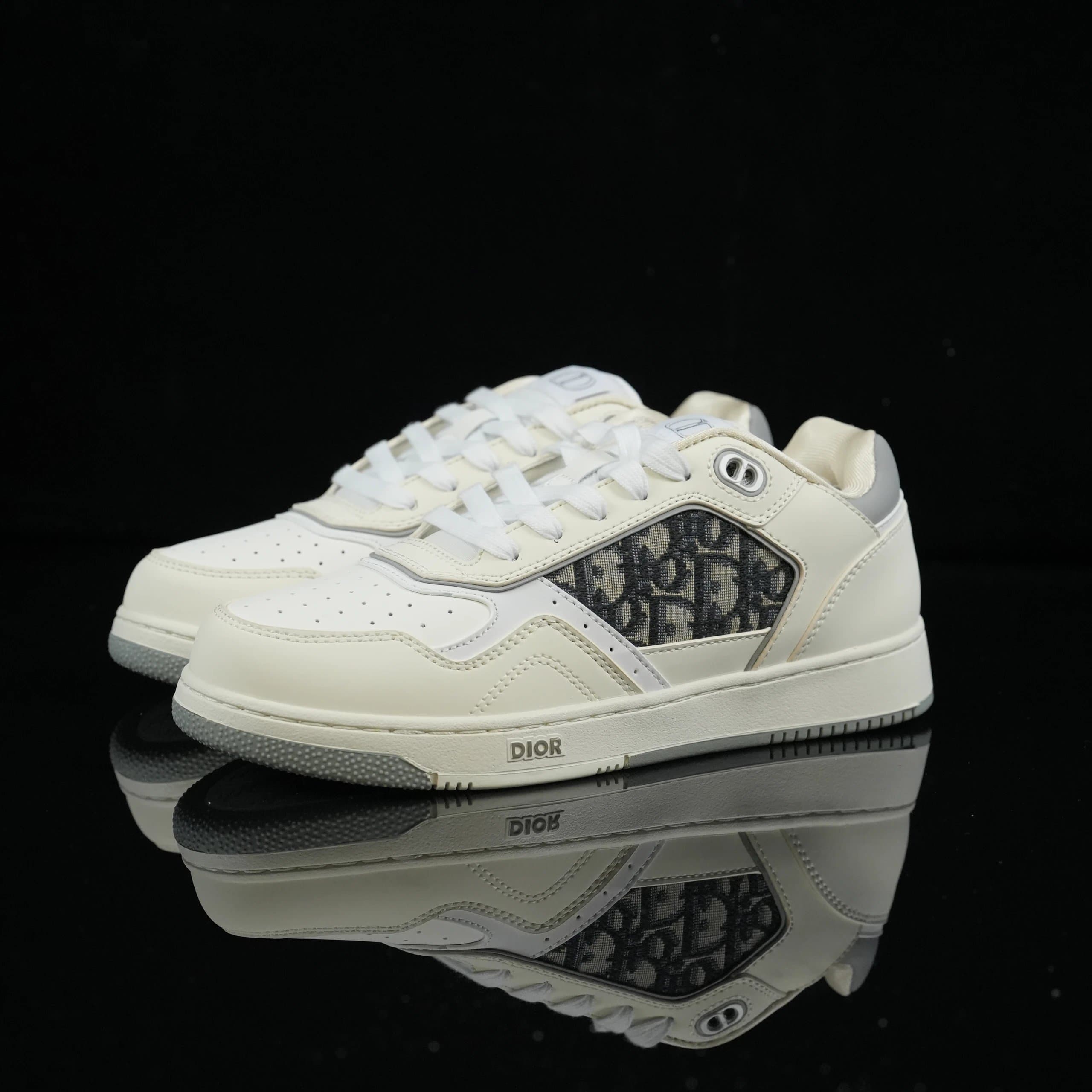 Dior B22 Low Oblique Print