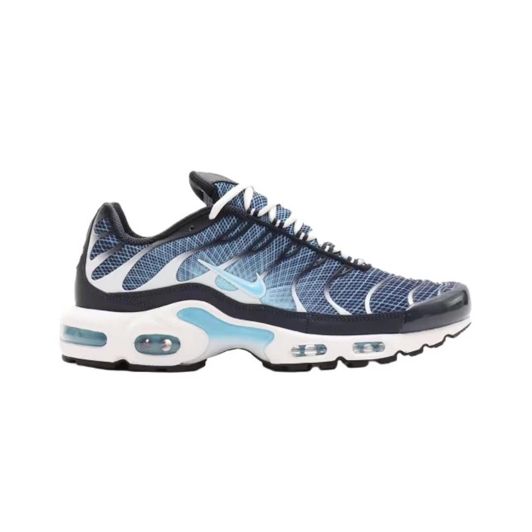Nike Air Max Plus Tiger Flame — 28
