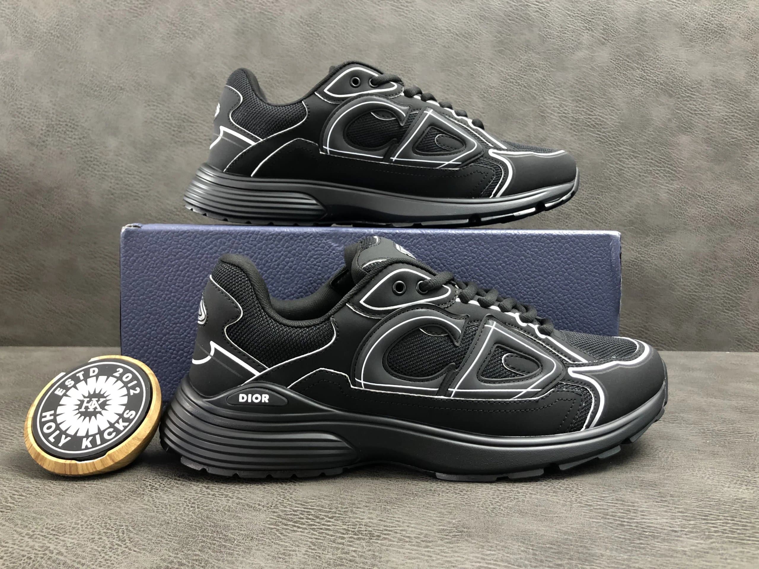 Dior B22 White Grey — 661 BLACK
