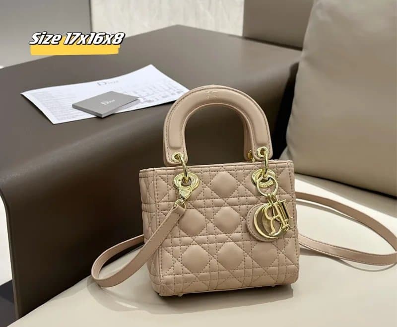 Dior Book Tote Oblique Logo — 23