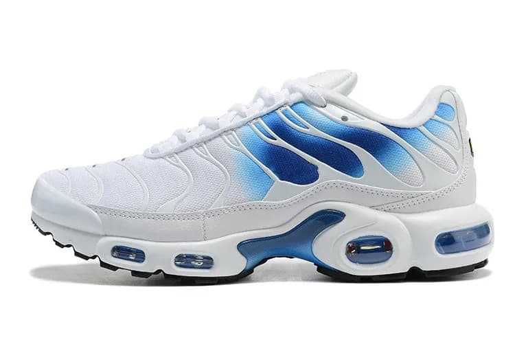 Nike Air Max Plus Obsidian — 10