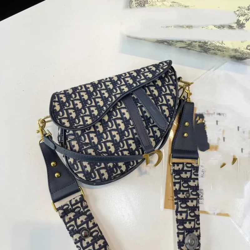 Dior Saddle Bag Oblique Canvas