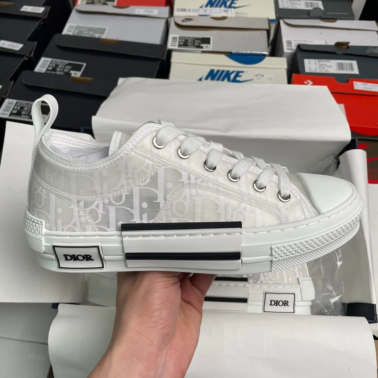 Dior B22 Low Monogram Mesh