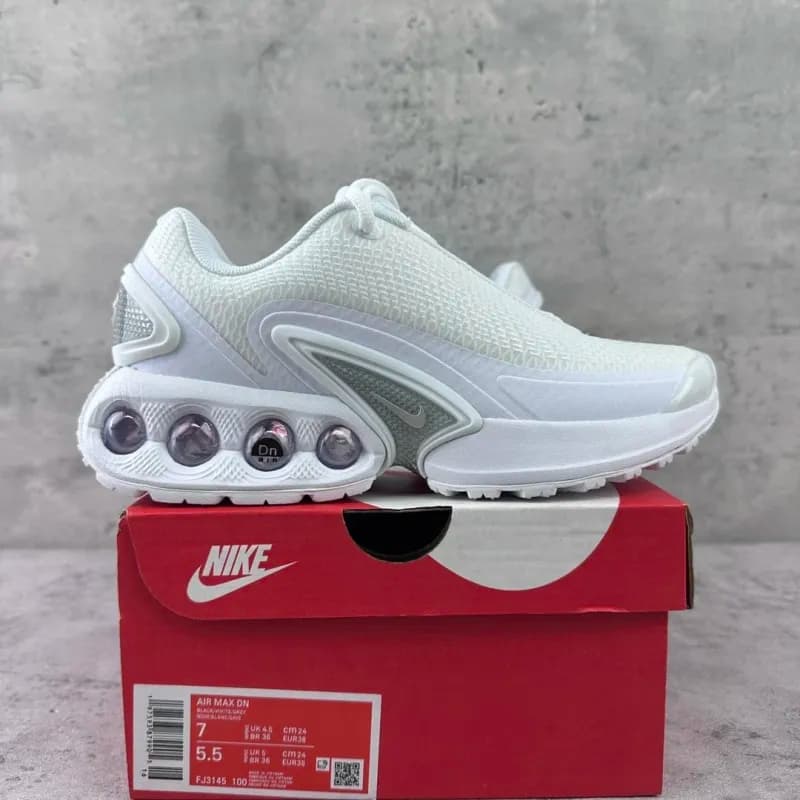 Nike Air Max DN White Grey