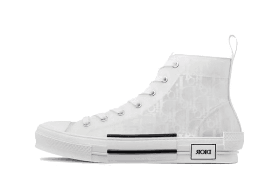 Dior B23 Low Lime and Brown — 22